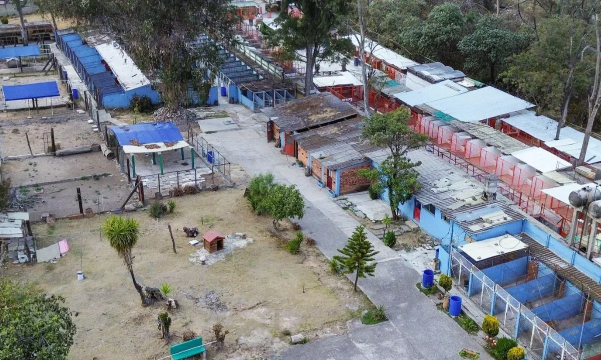 Fundación Haghenbeck ejerce violencia por predio, señala Refugio Franciscano