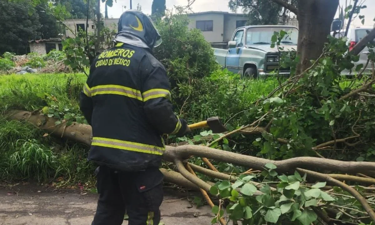 Al menos 20 árboles caídos, 9 encharcamientos, 5 cortocircuitos y tres postes caídos dejaron como afectaciones tras lluvias en la CDMX.