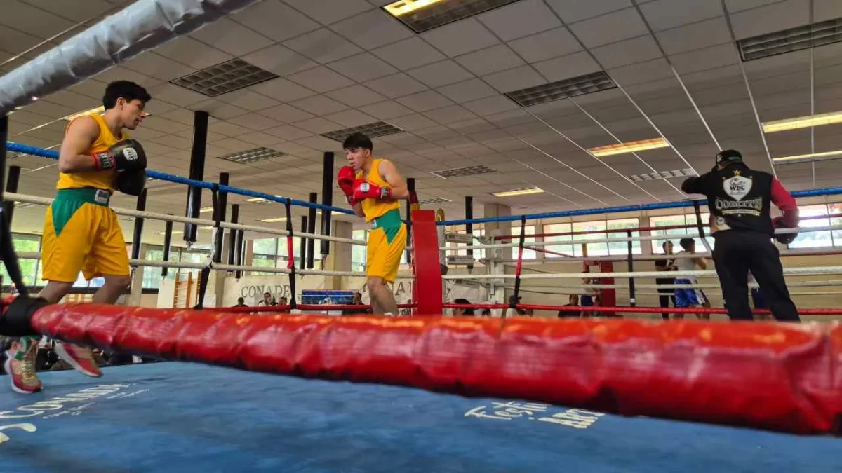 CONADE prepara la segunda Clase Nacional de Box a celebrarse el próximo 16 de agosto.