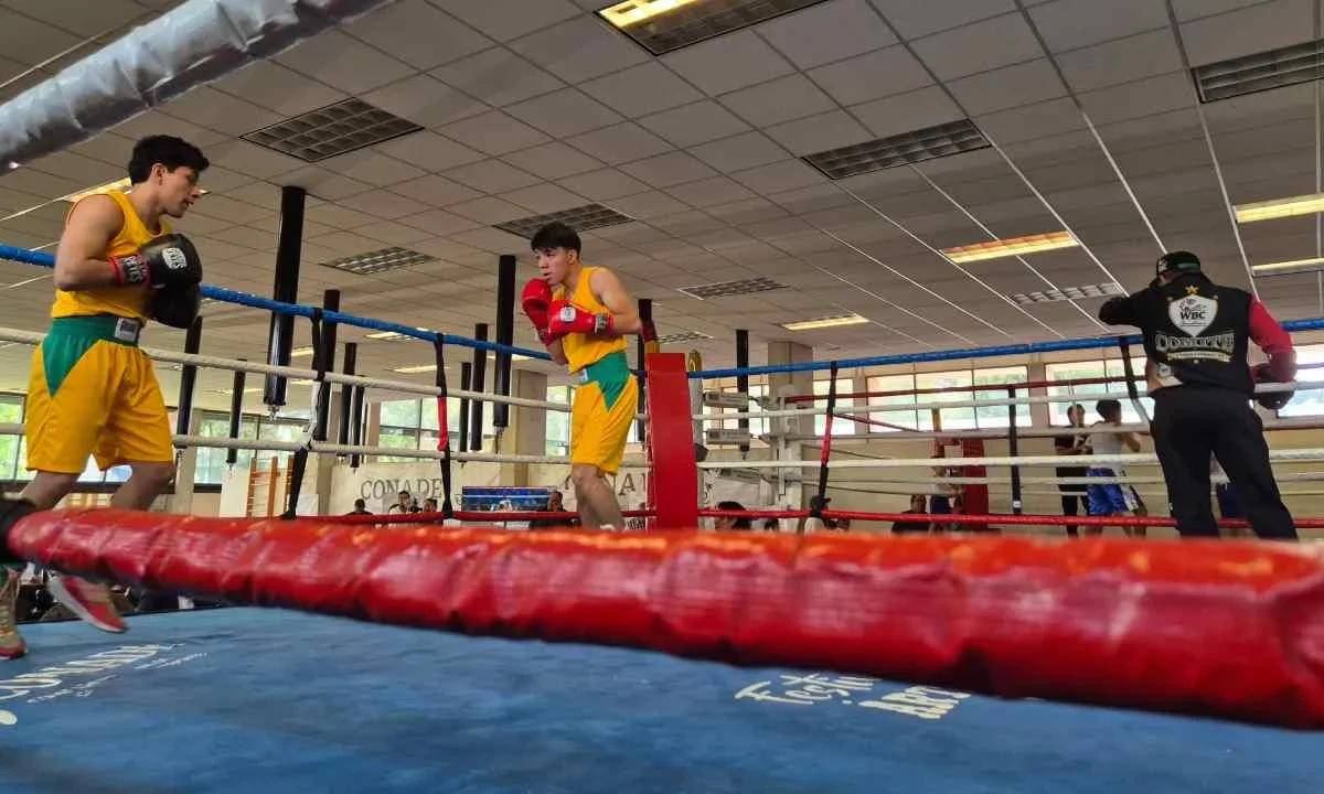 CONADE prepara la segunda Clase Nacional de Box a celebrarse el próximo 16 de agosto.
