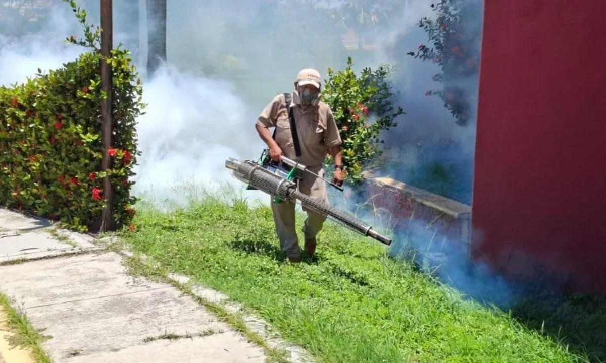 Se realiza el control larvario, nebulización espacial, rociado domiciliario y revisión deovitrampas en todo el estado de Campeche.