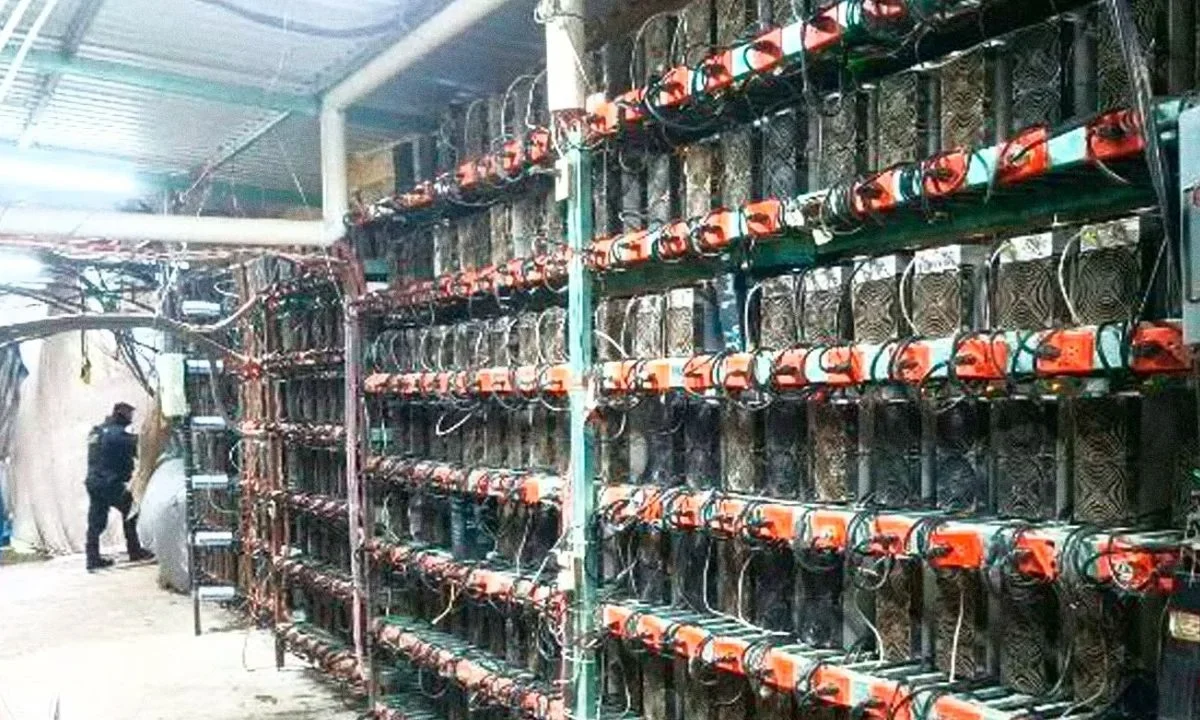 Aseguran granja de criptomonedas en Puebla