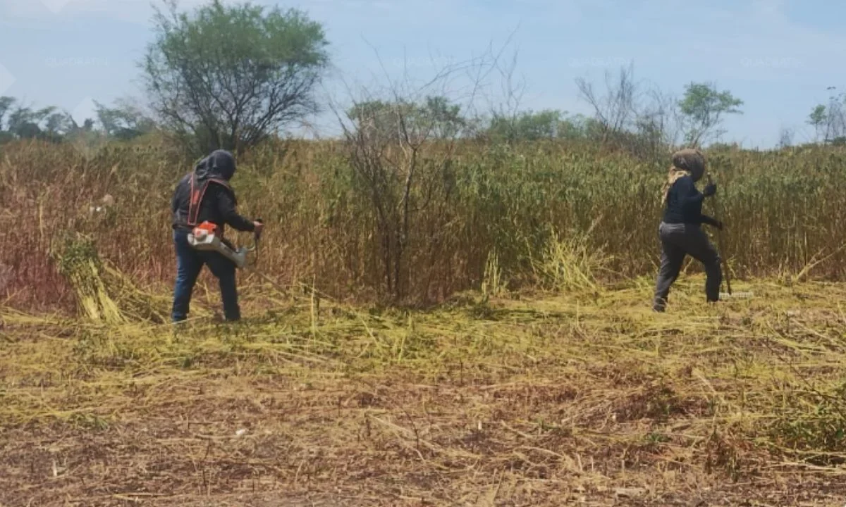 Hallan otros 150 restos óseos en presunto predio de exterminio de Acapulco