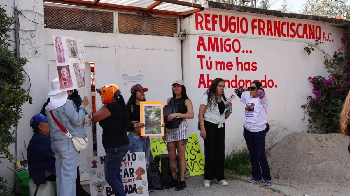 El Gobierno CDMX busca firmar un acuerdo reparatorio con el Refugio Franciscano para devolver los animales del predio: Fundación Haghenbeck.