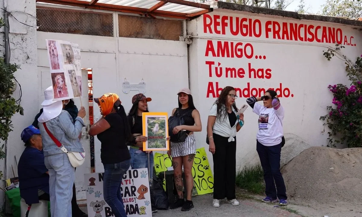 El Gobierno CDMX busca firmar un acuerdo reparatorio con el Refugio Franciscano para devolver los animales del predio: Fundación Haghenbeck.
