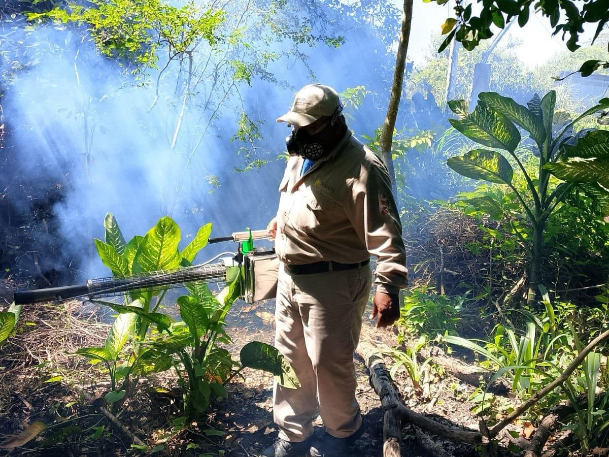 Capacitaron a notificantes voluntarios en la toma de gota gruesa y se realizó termonebulización y aplicación de larvicida en sistemas acuáticos en Escárcega.